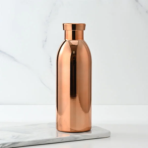 Frasco aislado al vacío de acero inoxidable de 500 ml